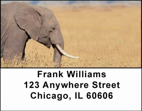 Elephants Address Labels
