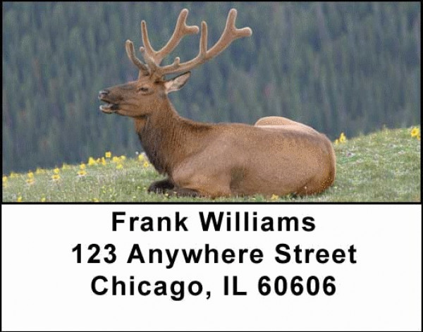 More Elk Address Labels | LBANI-23
