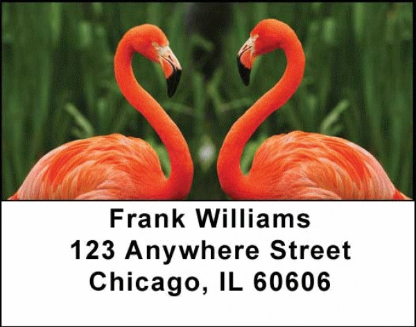 Flamingos Address Labels