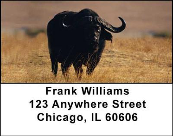 Buffalo Address Labels