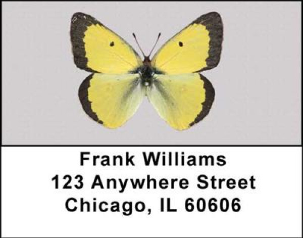 Butterfly Collector Address Labels