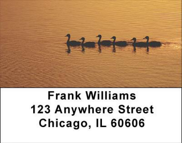 Ducks on a Golden Pond Address Labels