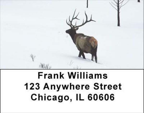 Elk Racks Address Labels