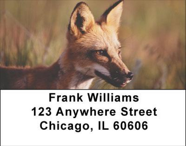Sly as a Fox Address Labels