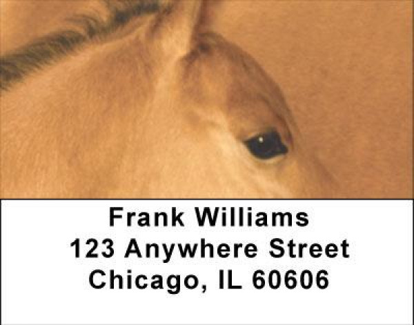 Horses Up Close and Personal Address Labels