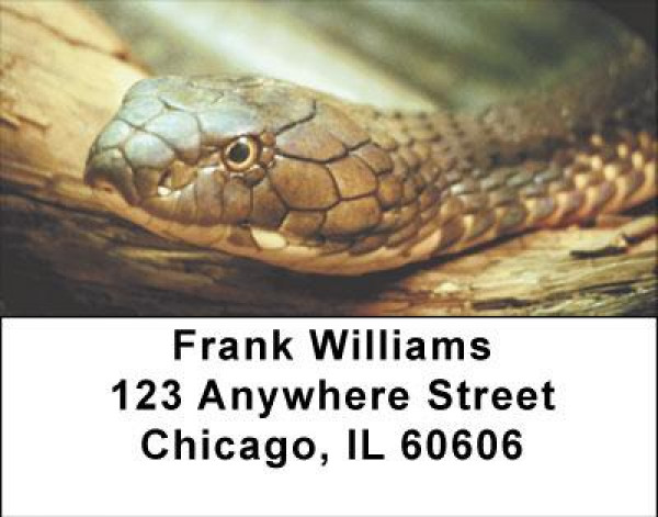Slithering Serpents Address Labels | LBANJ-04