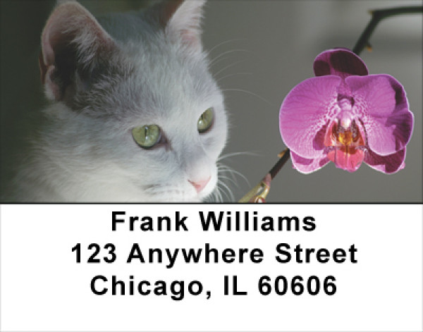 Flowers &amp; Felines Address Labels