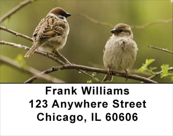 Sparrow In Spring Address Labels
