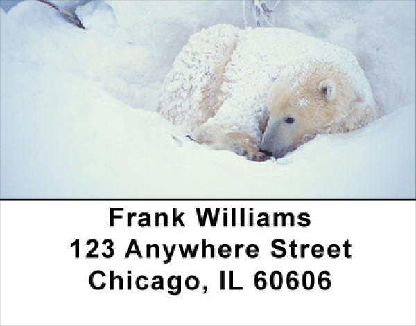 Polar - Cozy Address Labels | LBANK-15