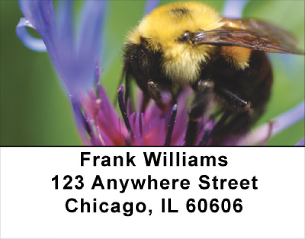 Bees On Flowers Address Labels