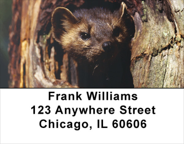 Ferrets Address Labels | LBANK-34