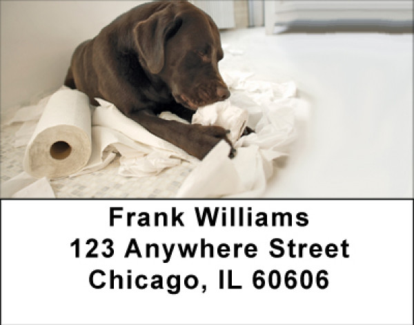 Takin Care Of Business Address Labels