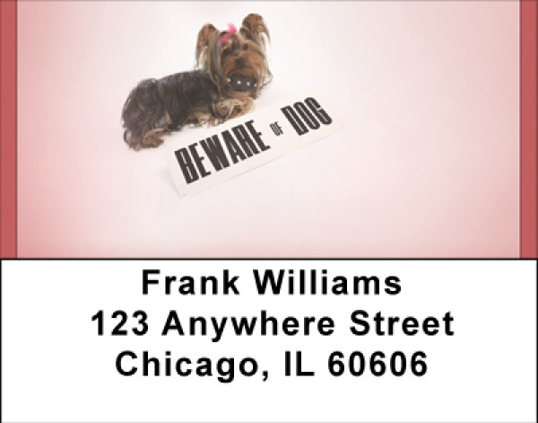 Beware Of Yorkie Dogs Address Labels | LBBBB-31