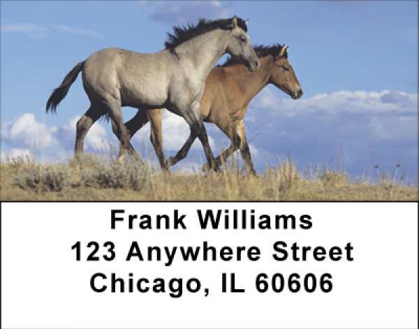 Wild Spanish Mustang Address Labels | LBBBE-12