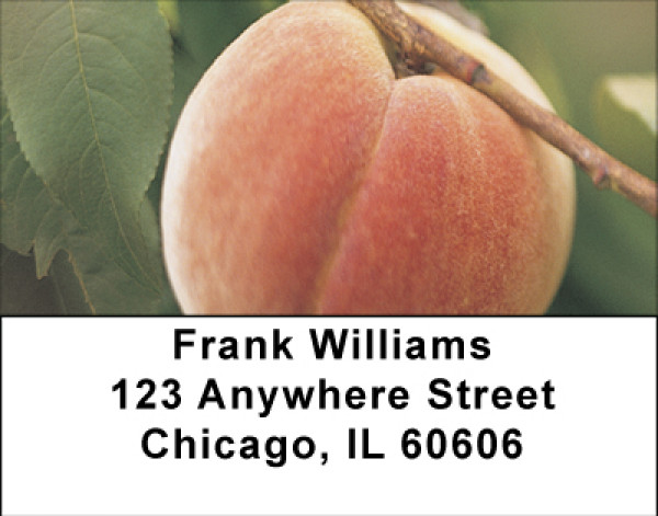 Georgia Peaches Address Labels | LBBBF-55
