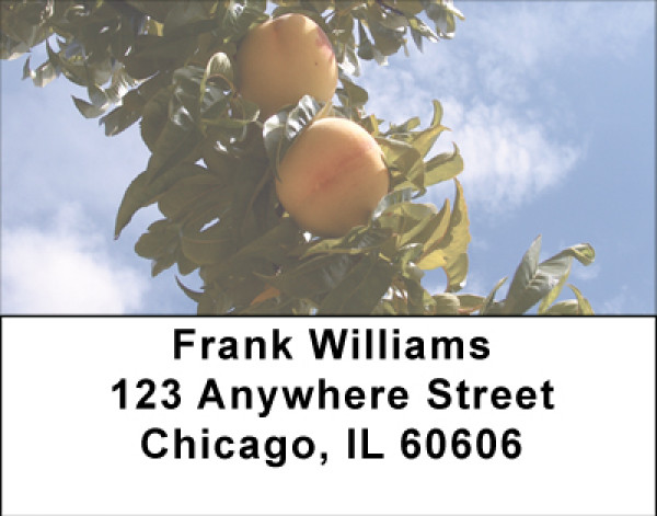 Fruit Trees Address Labels