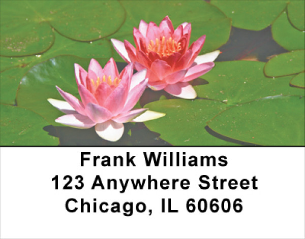 Water Lilies Address Labels | LBFLO-28