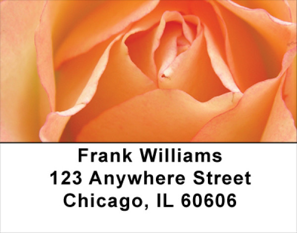 Peach Roses Address Labels | LBFLO-39