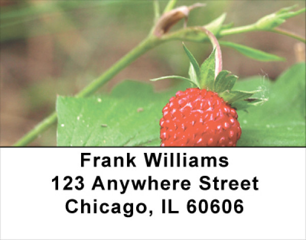 Bloomin' Strawberries Address Labels | LBFOD-25
