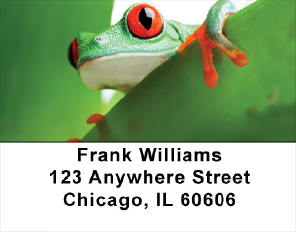 It&#039;s A Froggy Frog World Address Labels
