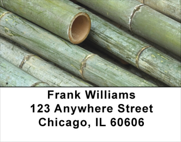 Green Bamboo Address Labels