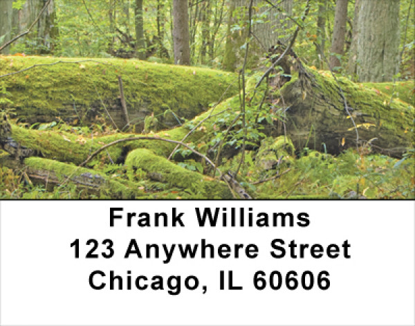 Mossy Oak Address Labels | LBNAT-53