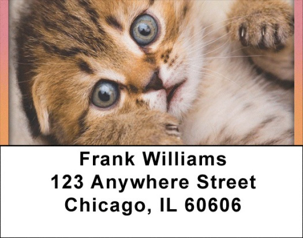 Just Too Cute Address Labels