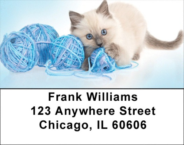 Kitty Blues Address Labels