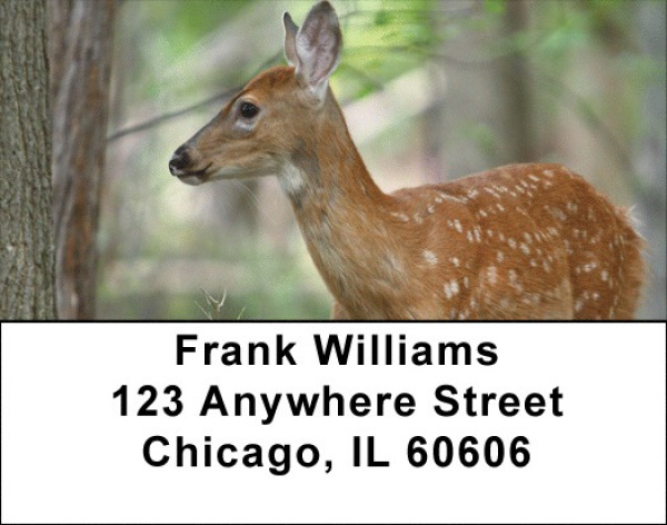 Fawns In Springtime Address Labels
