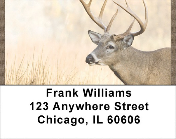 Whitetail Deer Address Labels