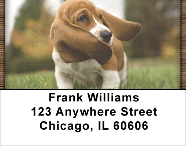 Basset Hound Puppy Address Labels | LBQBB-24
