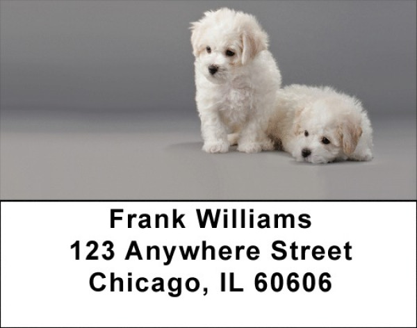 Bichon Puppies Address Labels