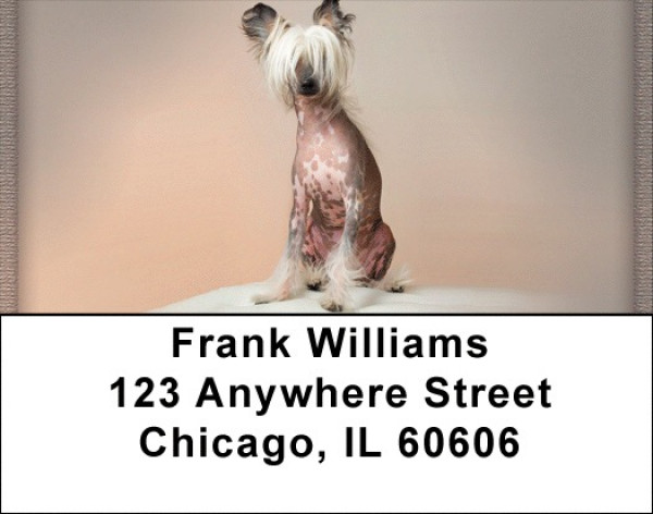 Chinese Crested Address Labels