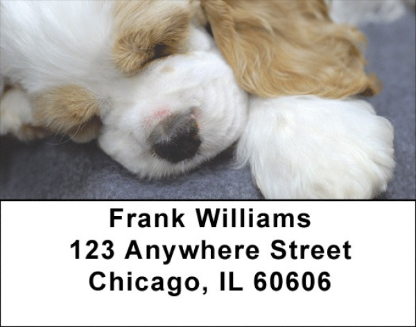 Sleepy Cocker Spaniel Puppy Address Labels | LBQBB-42