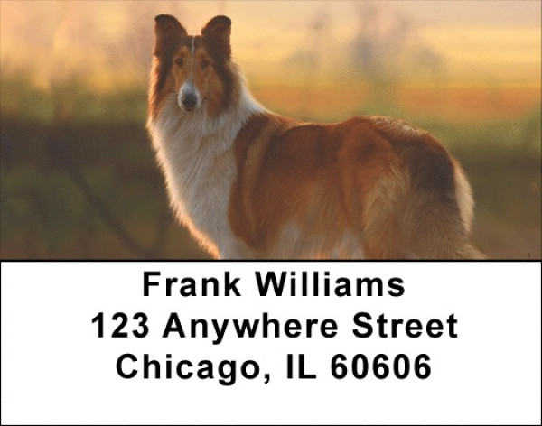 Lassie Address Labels | LBQBB-43