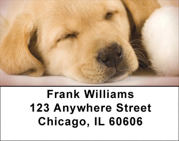 Yellow Labrador Puppies Address Labels | LBQBB-73