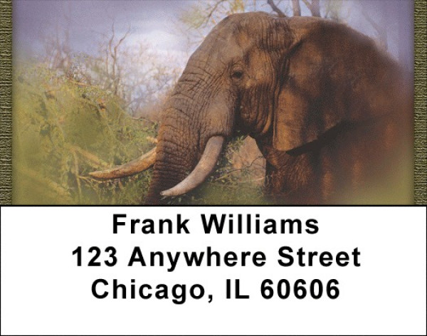 Wild Elephant Portraits Address Labels | LBQBC-22
