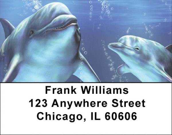 Friendly Dolphins Address Labels