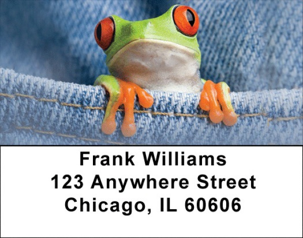 Frog In Your Pocket Address Labels