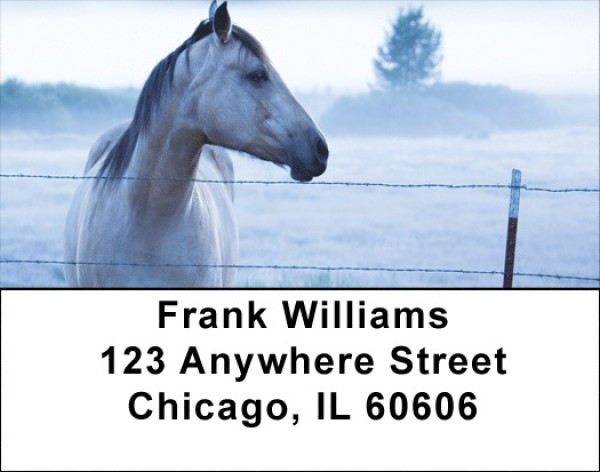 Horse On Misty Morning Address Labels | LBQBC-64