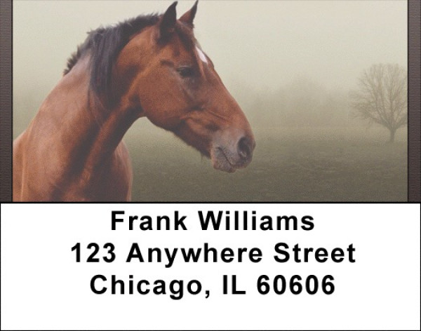 Horse Portraits Address Labels