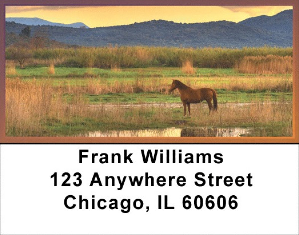 Sunset In The Foothills Address Labels