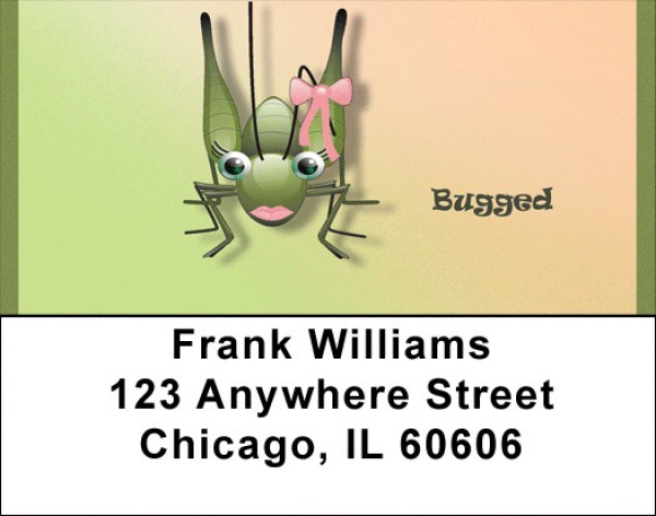 Bugged Address Labels | LBQBC-78
