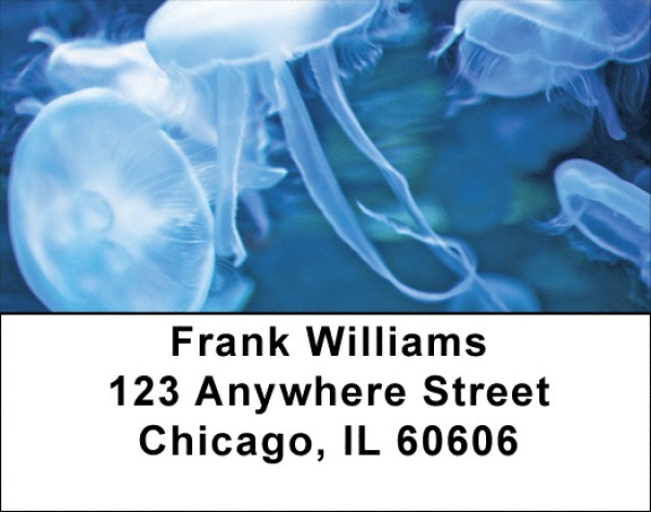 Jellyfish Jungle Address Labels | LBQBC-82