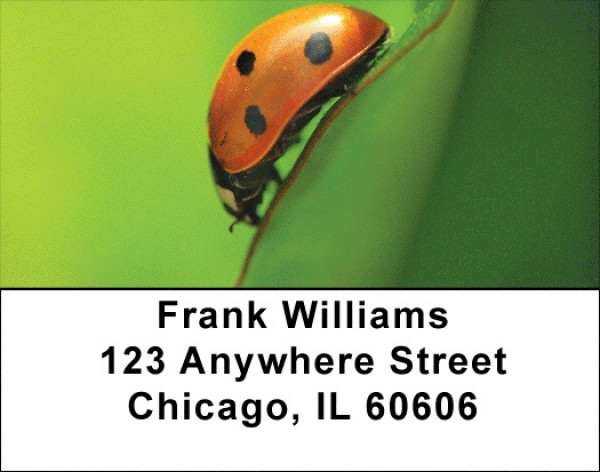 Lovely Ladybugs Address Labels | LBQBC-90