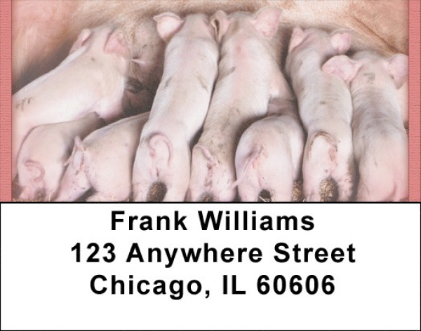 This Little Piggy Address Labels | LBQBD-11