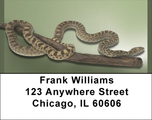 Slithering Reptiles Address Labels