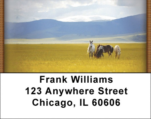 Horses On High Plains Address Labels