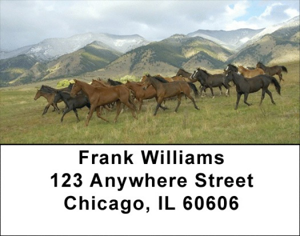 Wild And Free Address Labels