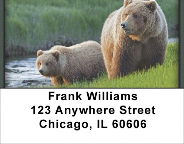 Grizzly Bears Address Labels